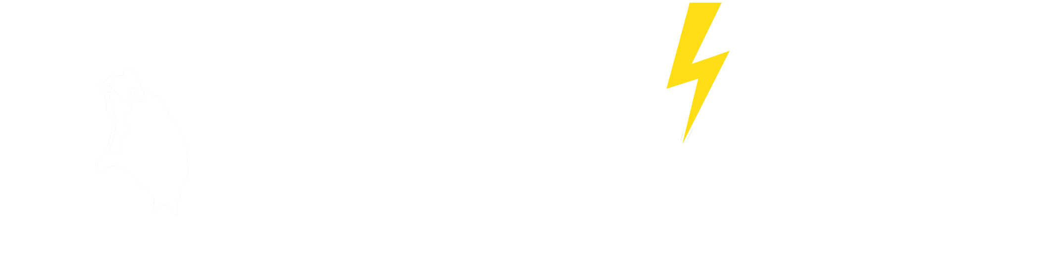 Antigua Generators